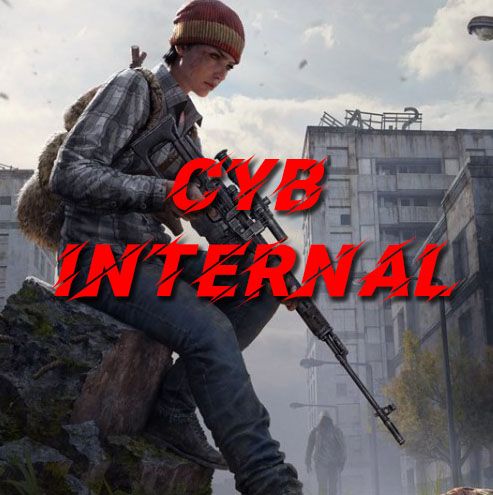 CYB INTERNAL